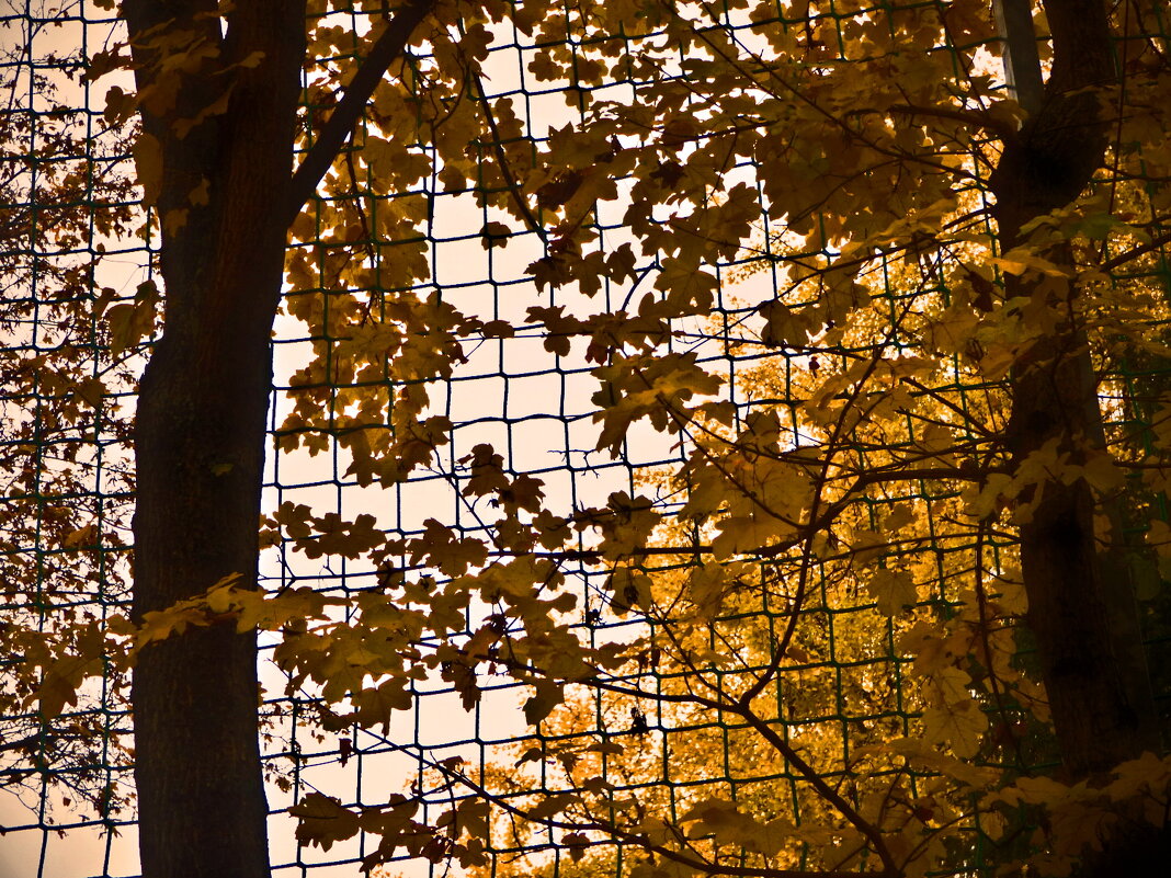 Осень 54 - Алексей Кузнецов