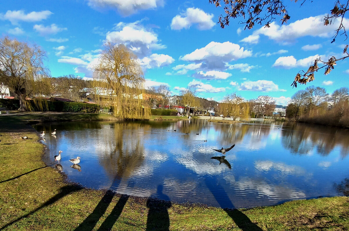 На озёрах Зиндельфингена - Сергей Порфирьев