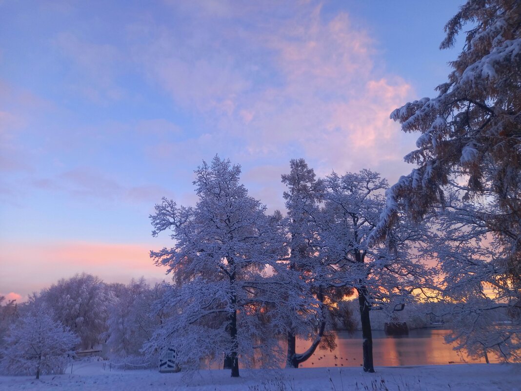 Расссвет - Сапсан 