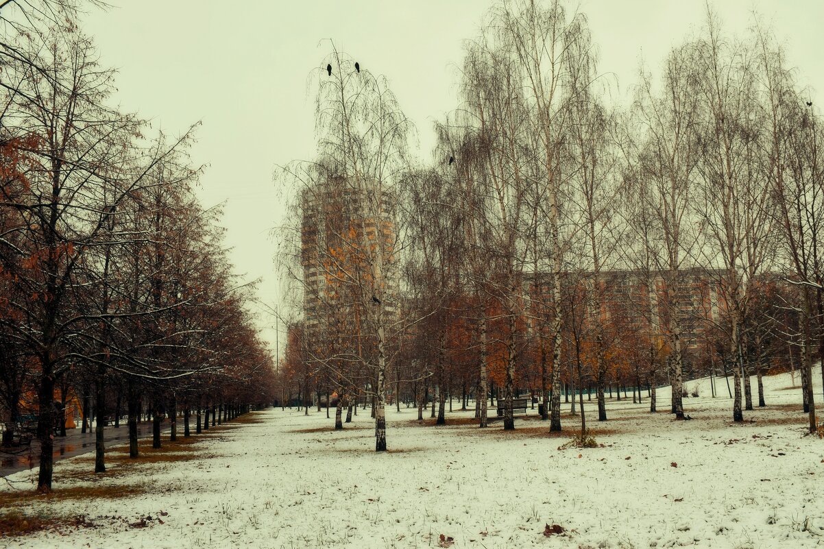 Картина "Грачи не улетели". - Татьяна Помогалова