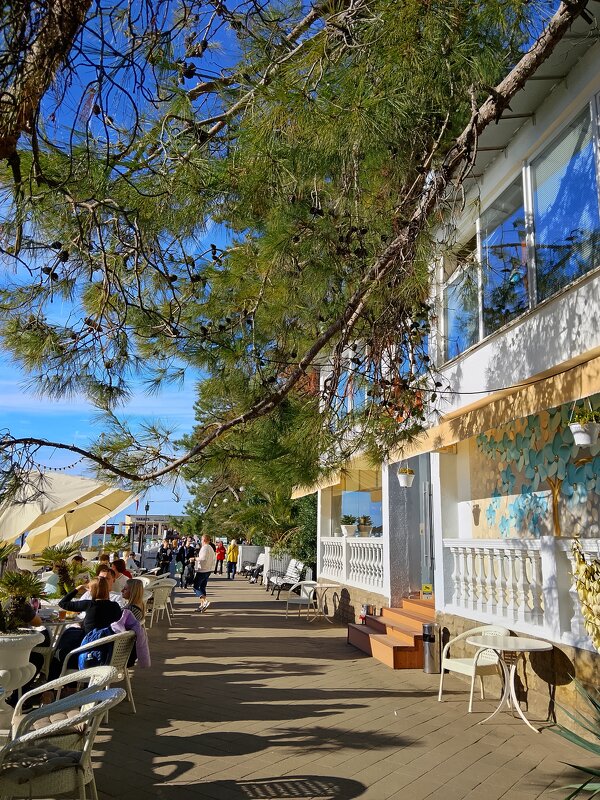 Приморская набережная - Tata Wolf