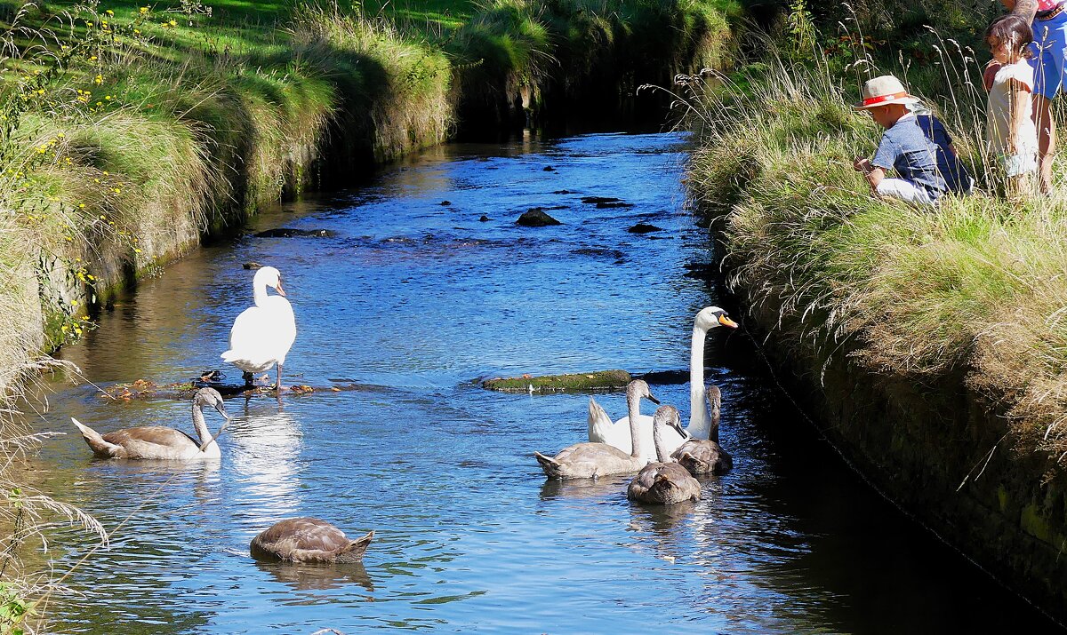 Мы наблюдаем за ними, они наблюдают за нами! - Владимир Манкер