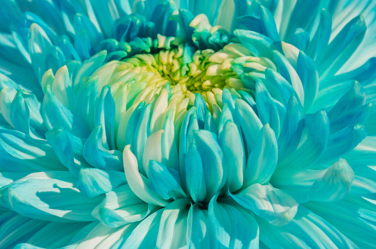 *** - Виктор Иванович Чернюк