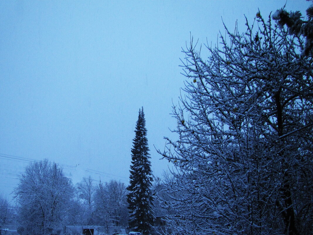 Вот и зима к нам пришла - Людмила Смородинская