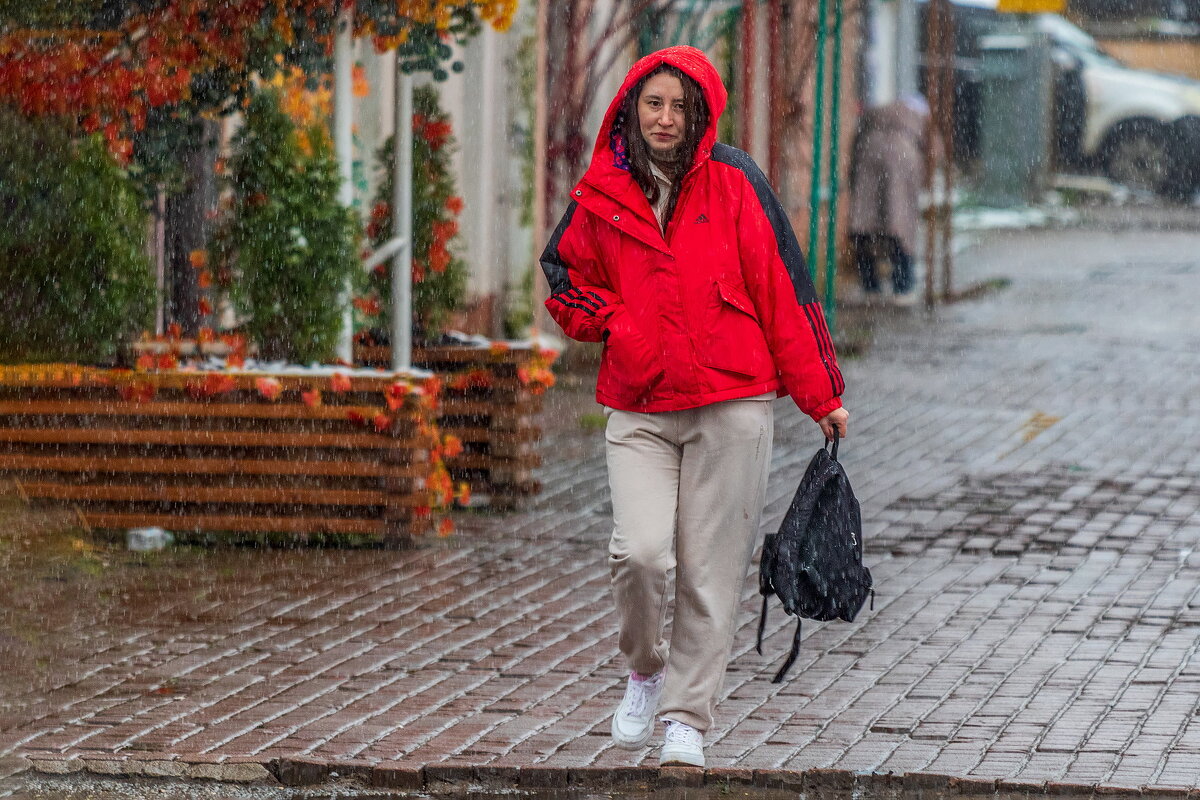 Что мне снег, что мне зной ... - Анатолий. Chesnavik.