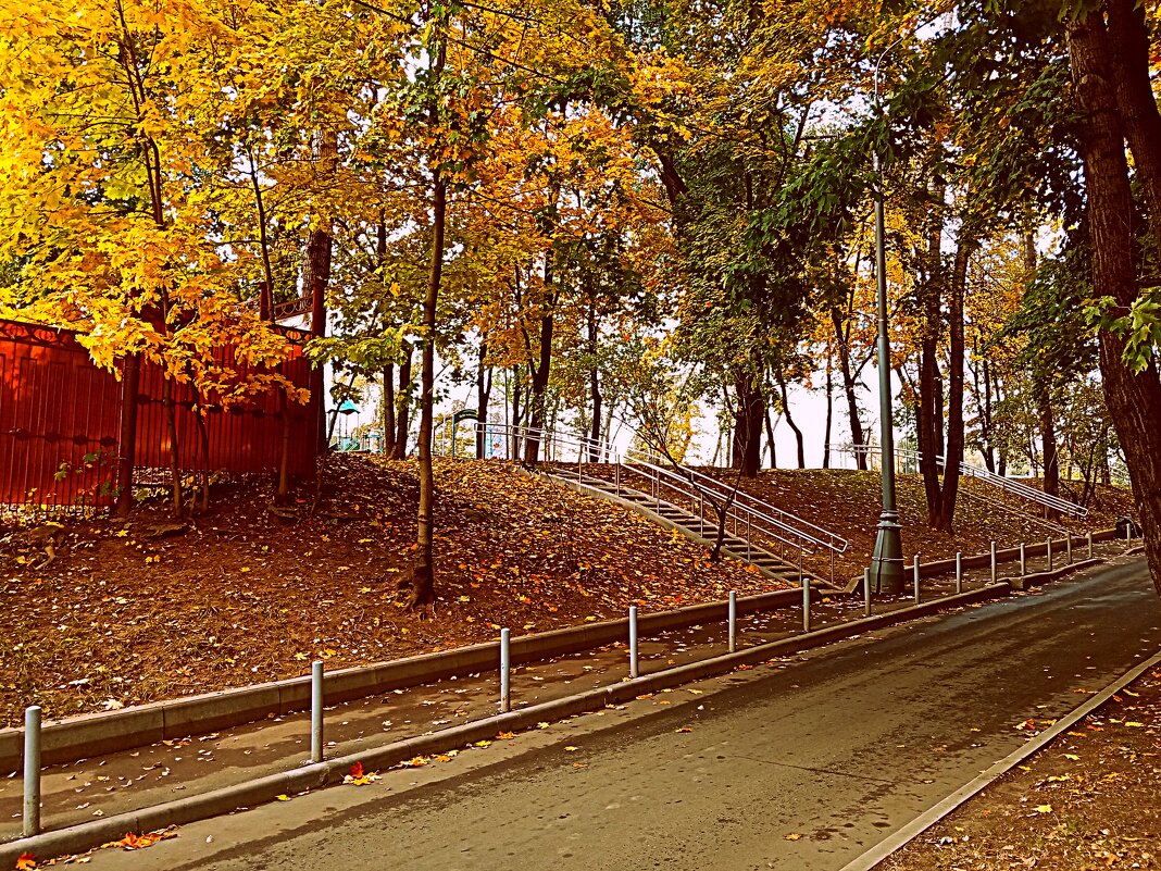 Осень. - Владимир Драгунский Осень. - Владимир Драгунский