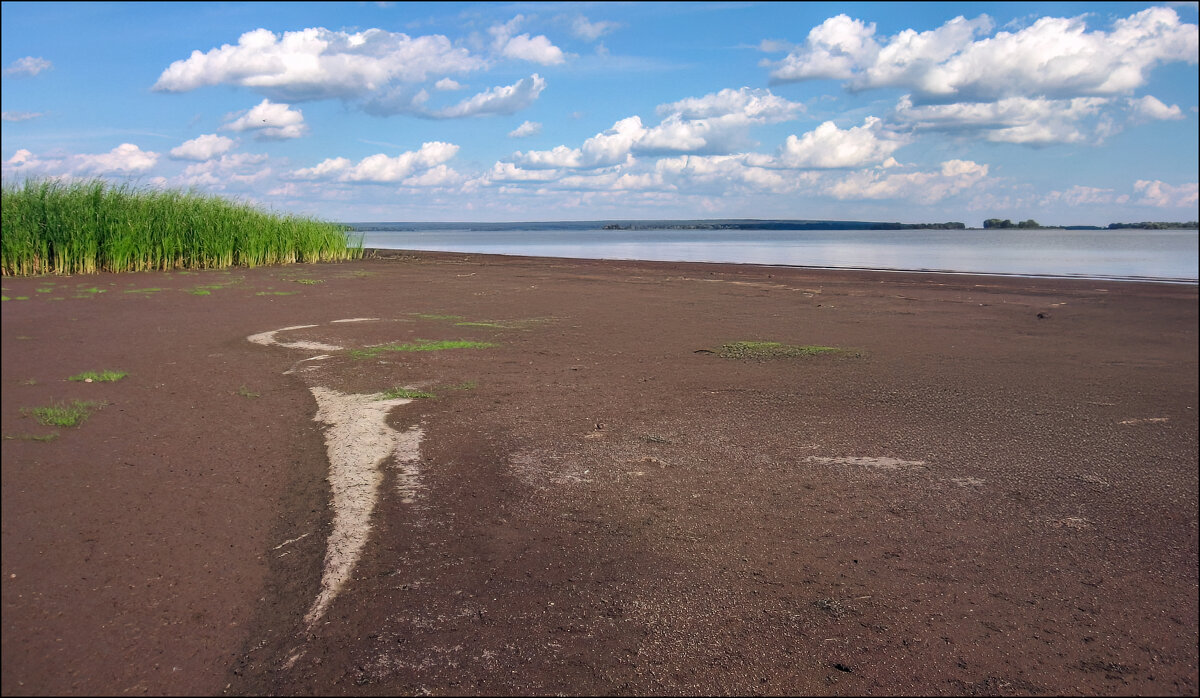 Берег Меши - **** vedin