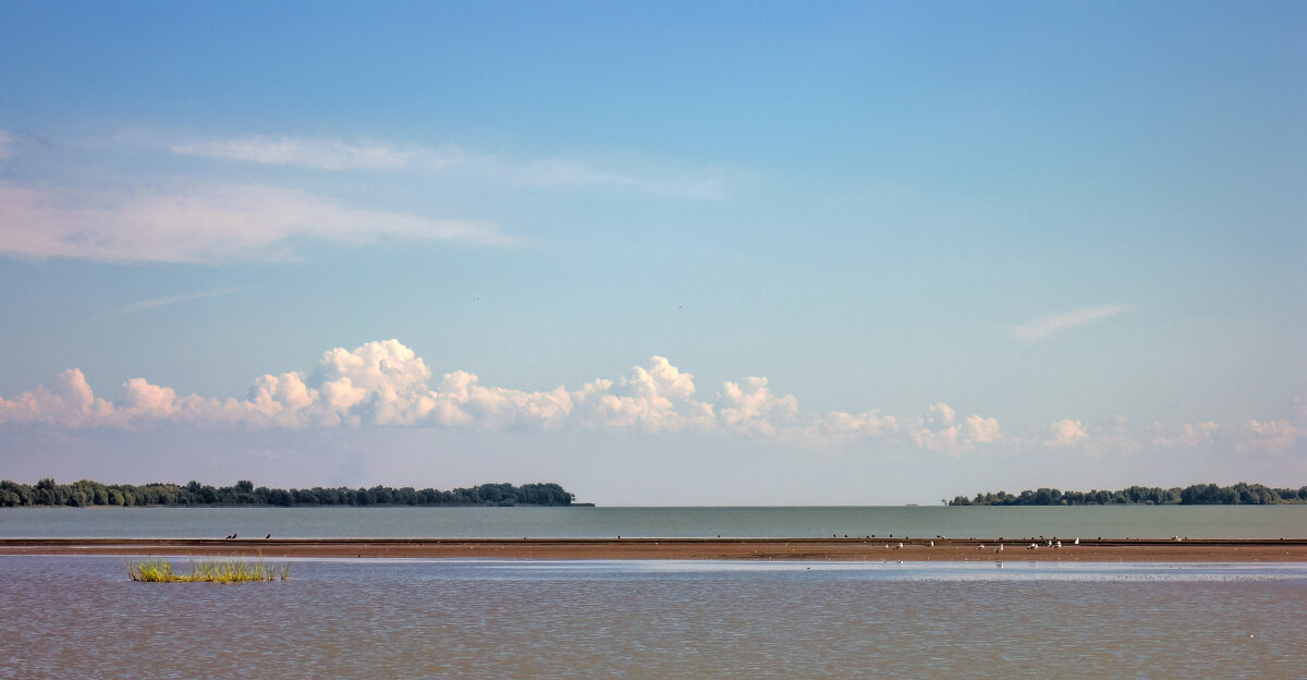 Меша - **** vedin