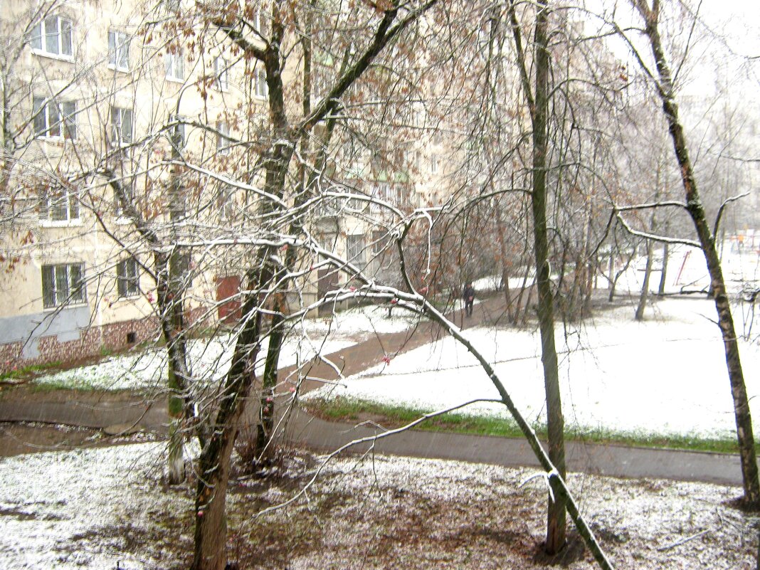 15 ноября.Наконец выпал снег - Елена Семигина 15 ноября.Наконец выпал снег - Елена Семигина