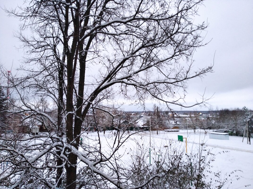 Зимой в с.Заворово - Елена Семигина