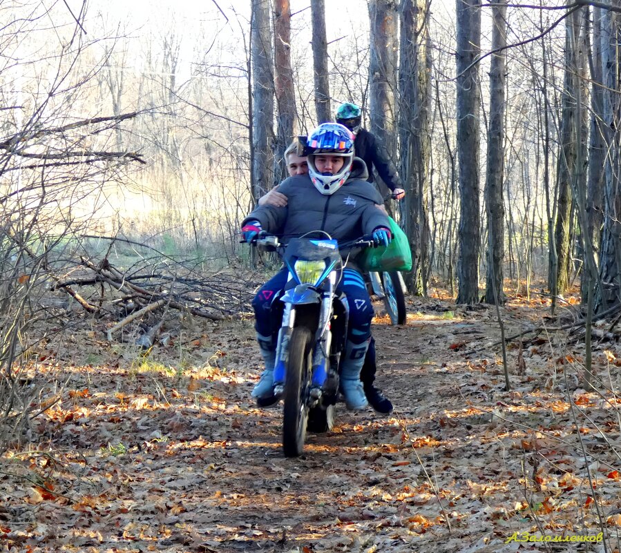 О покатушках в осеннем лесу...:-) - Андрей Заломленков