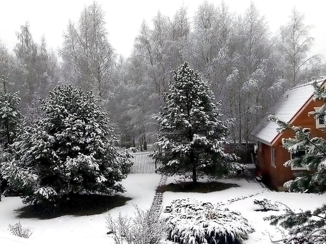 Ноябрь. Первый снег - Ольга Довженко