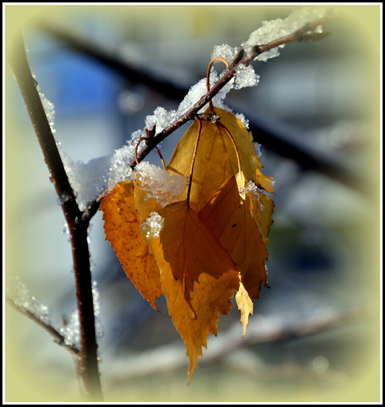 Первый снежок - Aleksandr Gal