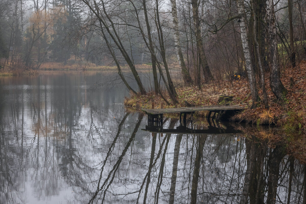 **** - Елизавета .