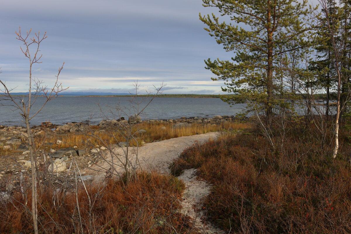 У Имандры - Ольга 