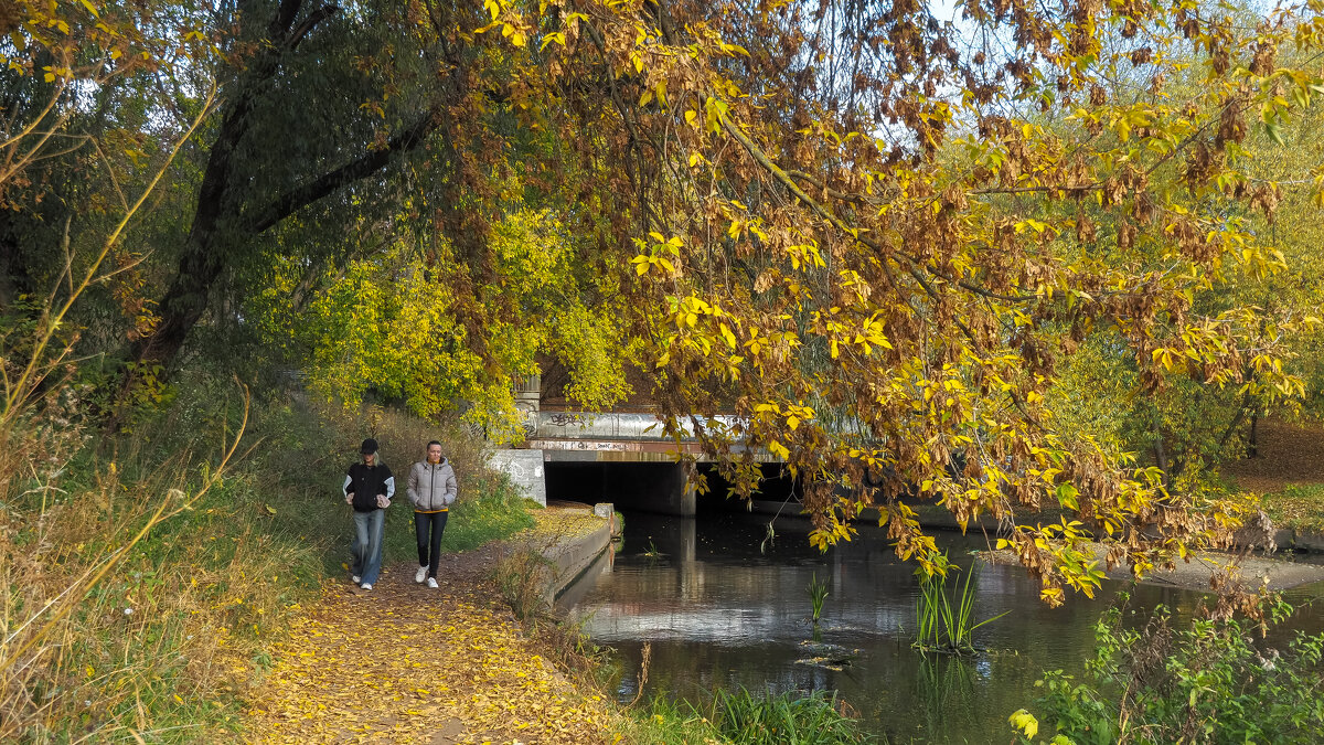 Осенний Сюжет - юрий поляков