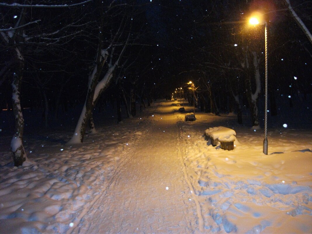 в заснеженном парке - Владимир иванов