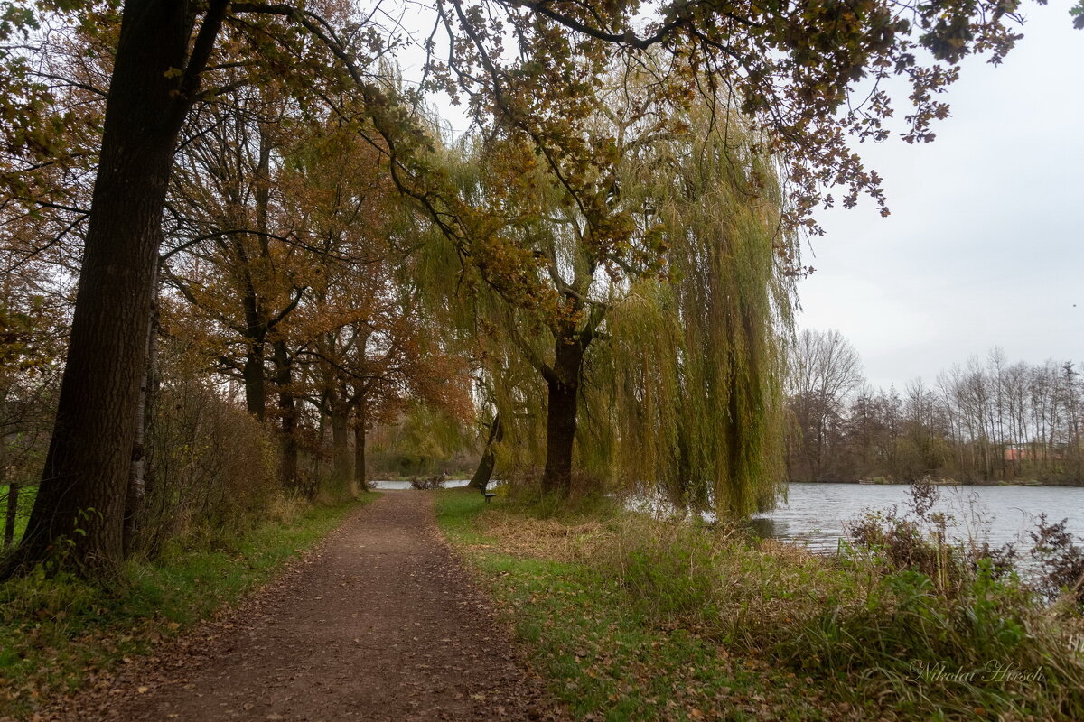 *** - Николай Гирш