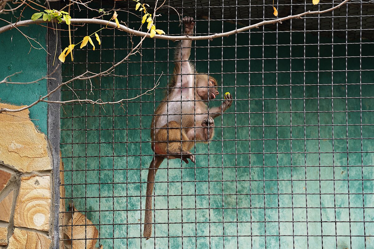В парке Тайган - Татьяна Тюменка