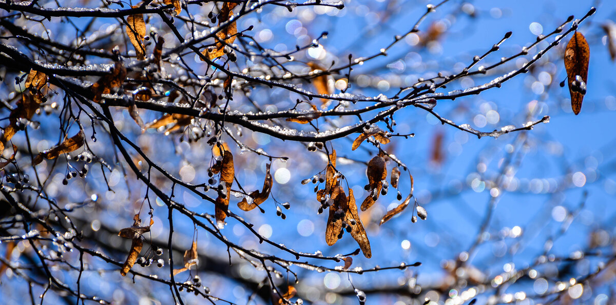 **** - Анатолий Портнов