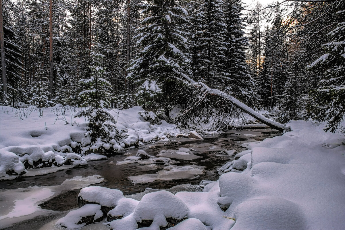 Первый снег - Vladimbormotov Первый снег - Vladimbormotov