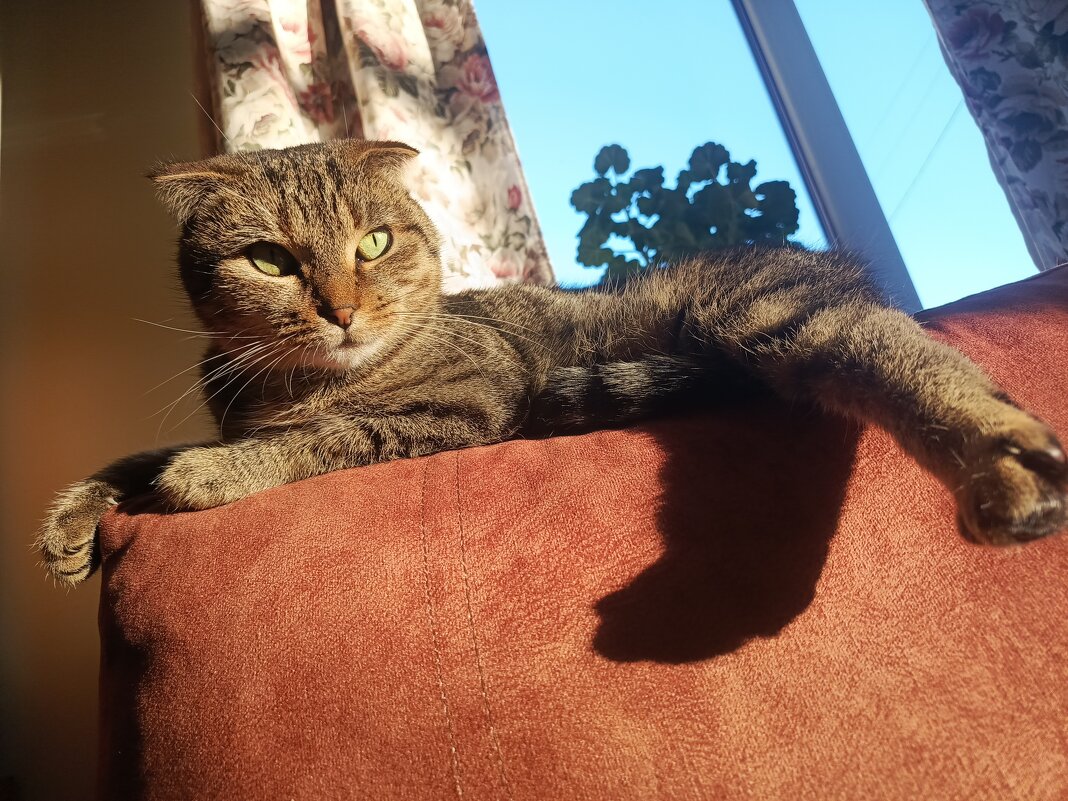 Само совершенство - константин 