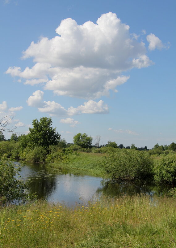 Летнее - Сергей Рожков