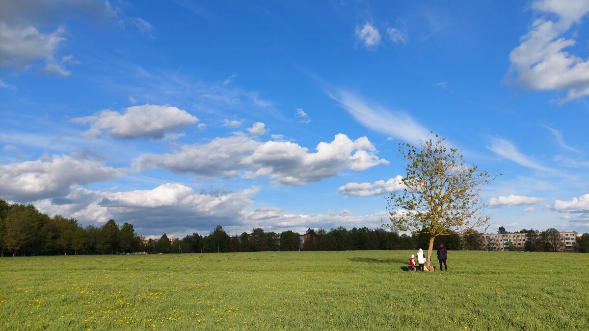 трио любознательных - Артём 
