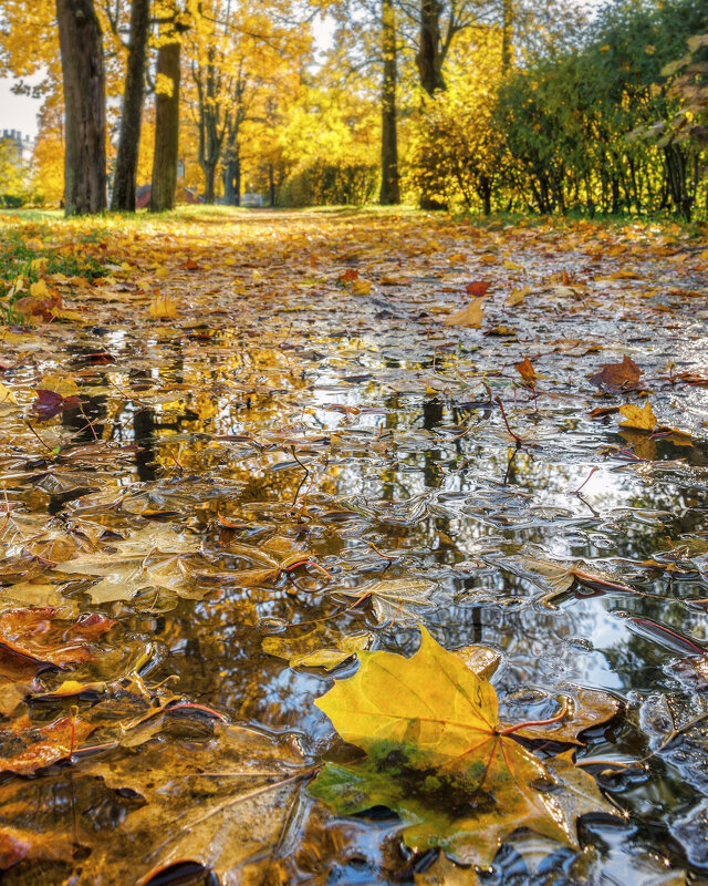 Про Питер - Владимир Колесников
