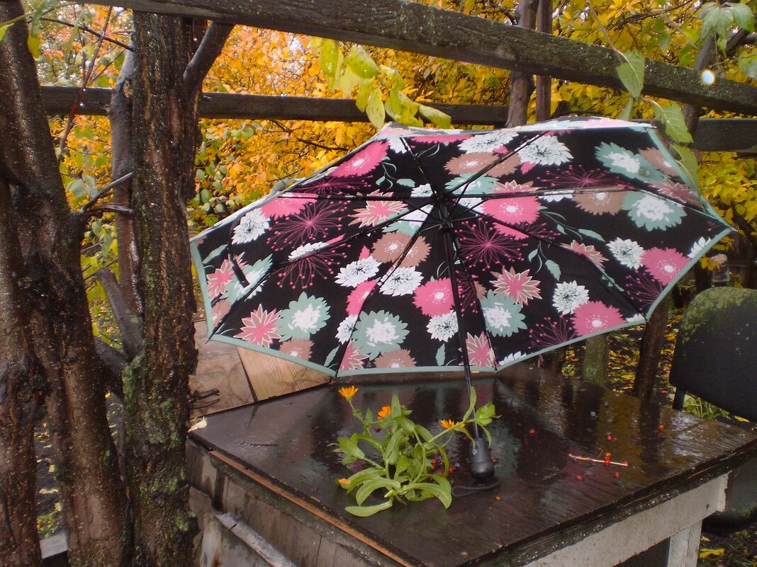 Ноябрь - Венера Чуйкова