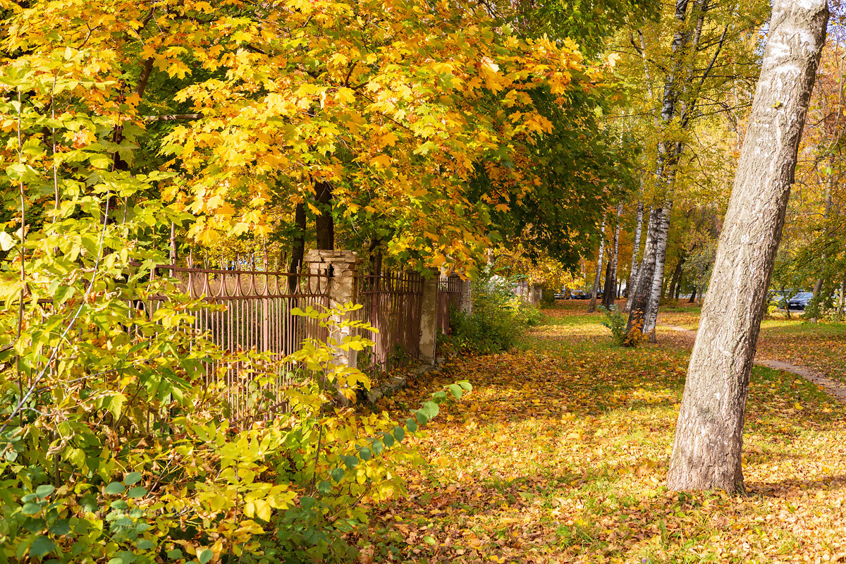 В начале октября - Александр Синдерёв