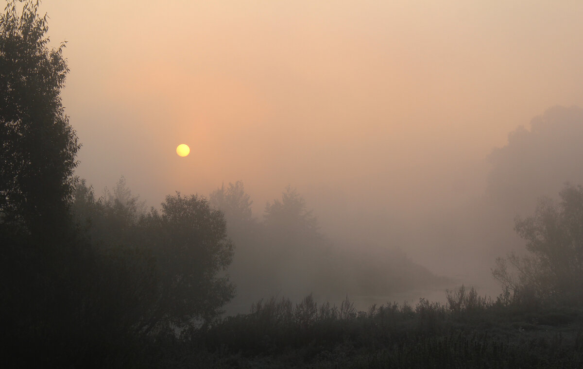Туман. - Александр 
