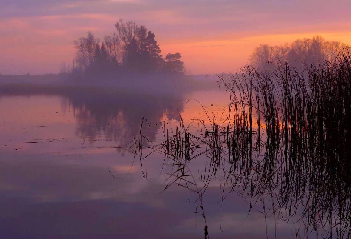 Ноябрьский туман - liudmila drake