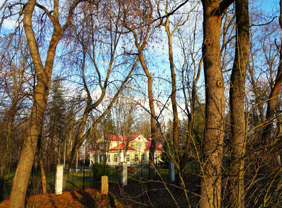 Солнечный день ноября - Aida10 