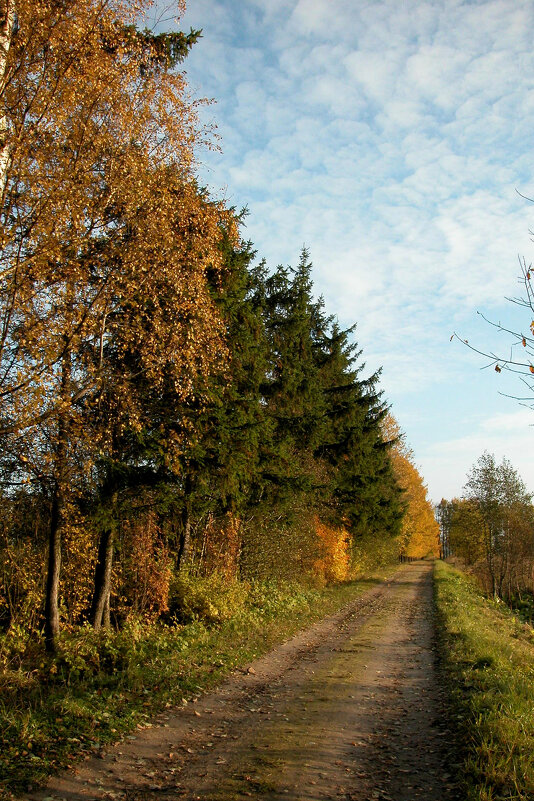 Осень ушла этой дорогой... - Наталья Лунева 