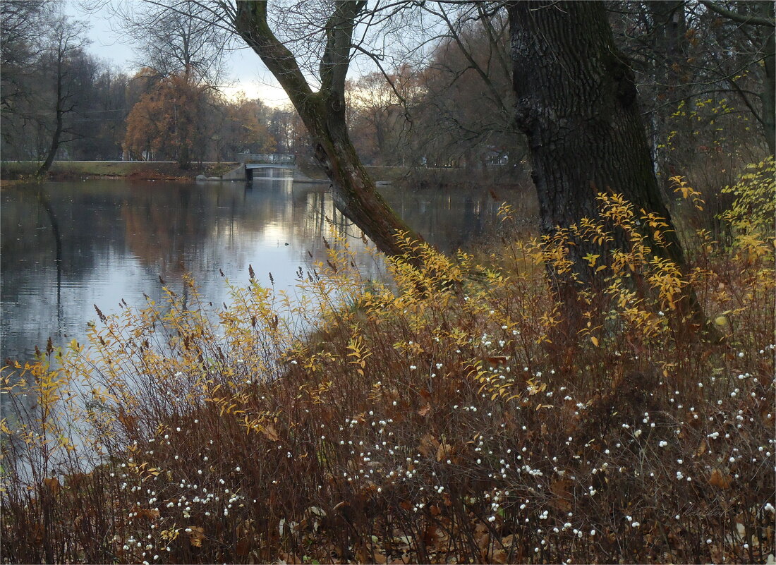 обещание снега - sv.kaschuk 