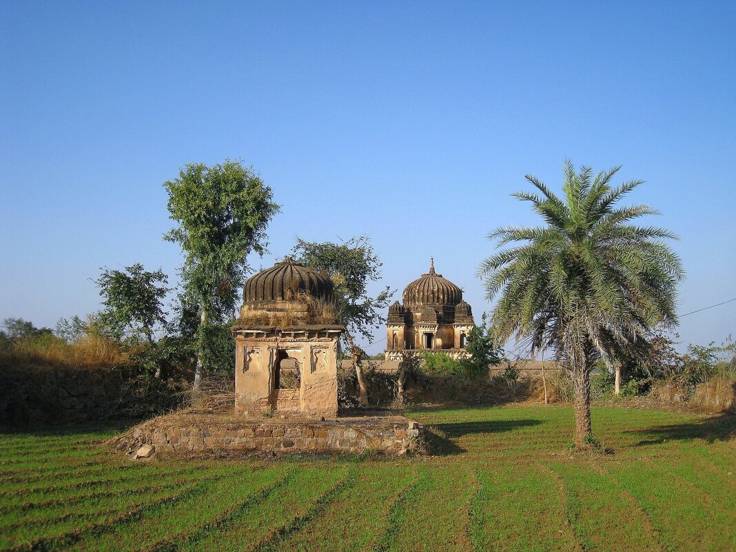 Кусочек Индии. - unix (Илья Утропов) Кусочек Индии. - unix (Илья Утропов)