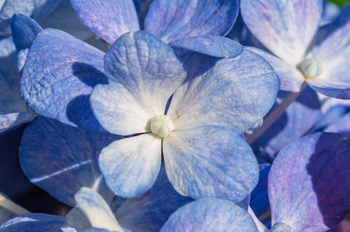 *** - Виктор Иванович Чернюк