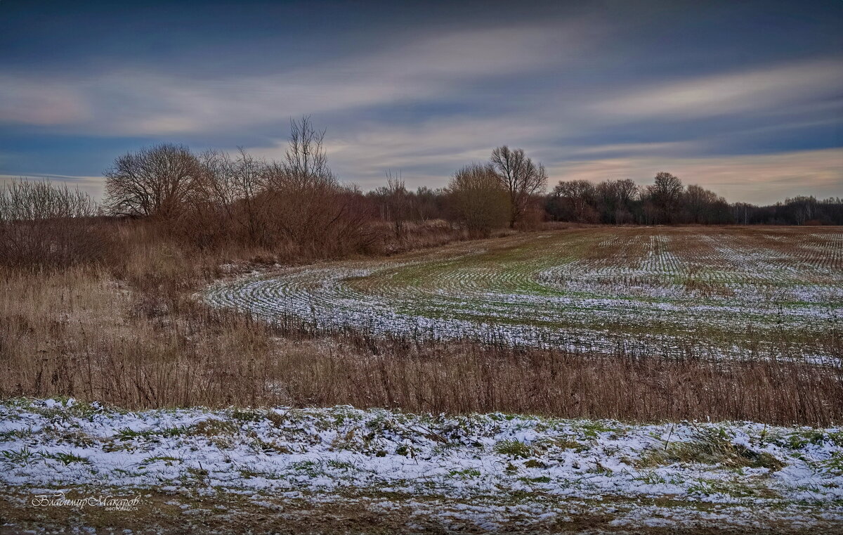 "Предзимье. Поля в ожидании снега"© - Владимир Макаров