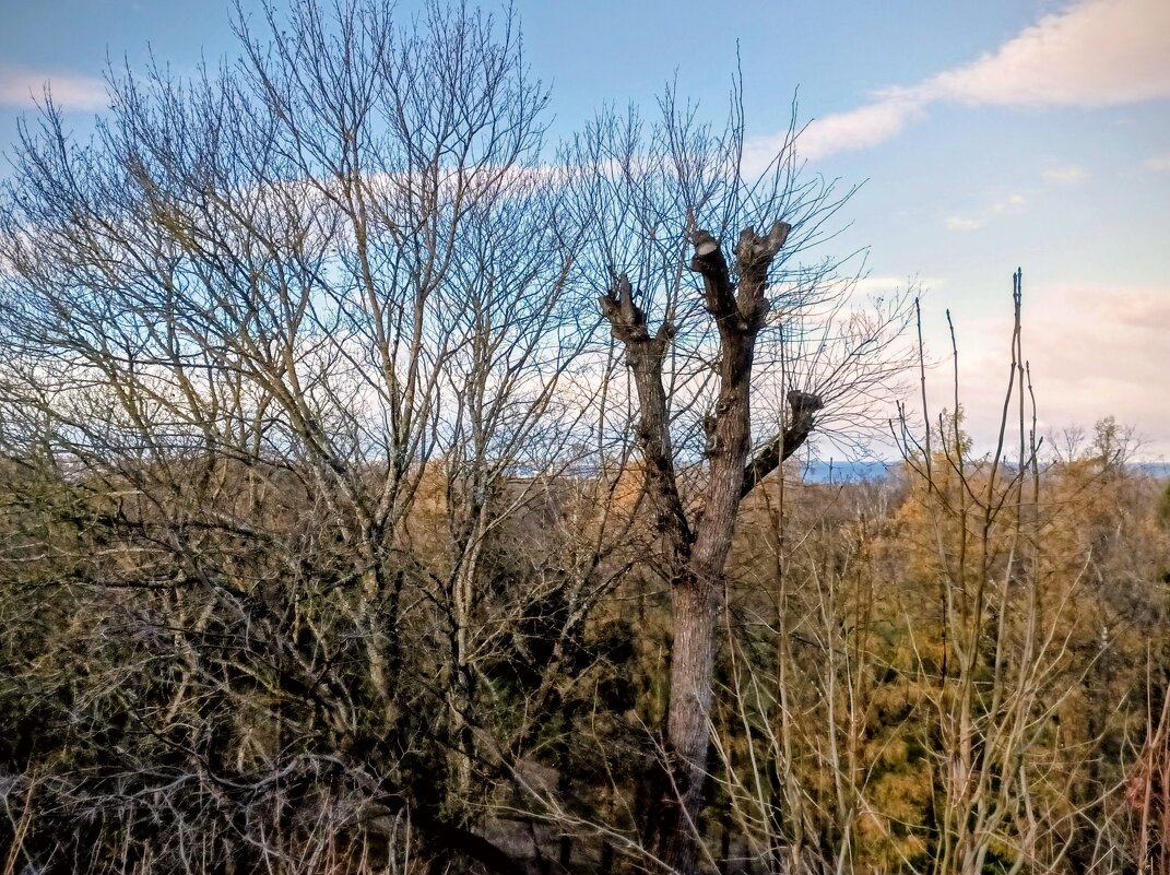 Рядом с маяком, вдали море - Veera V