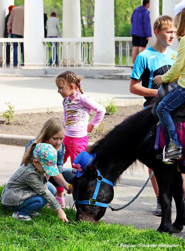... - Светлана Ищенко