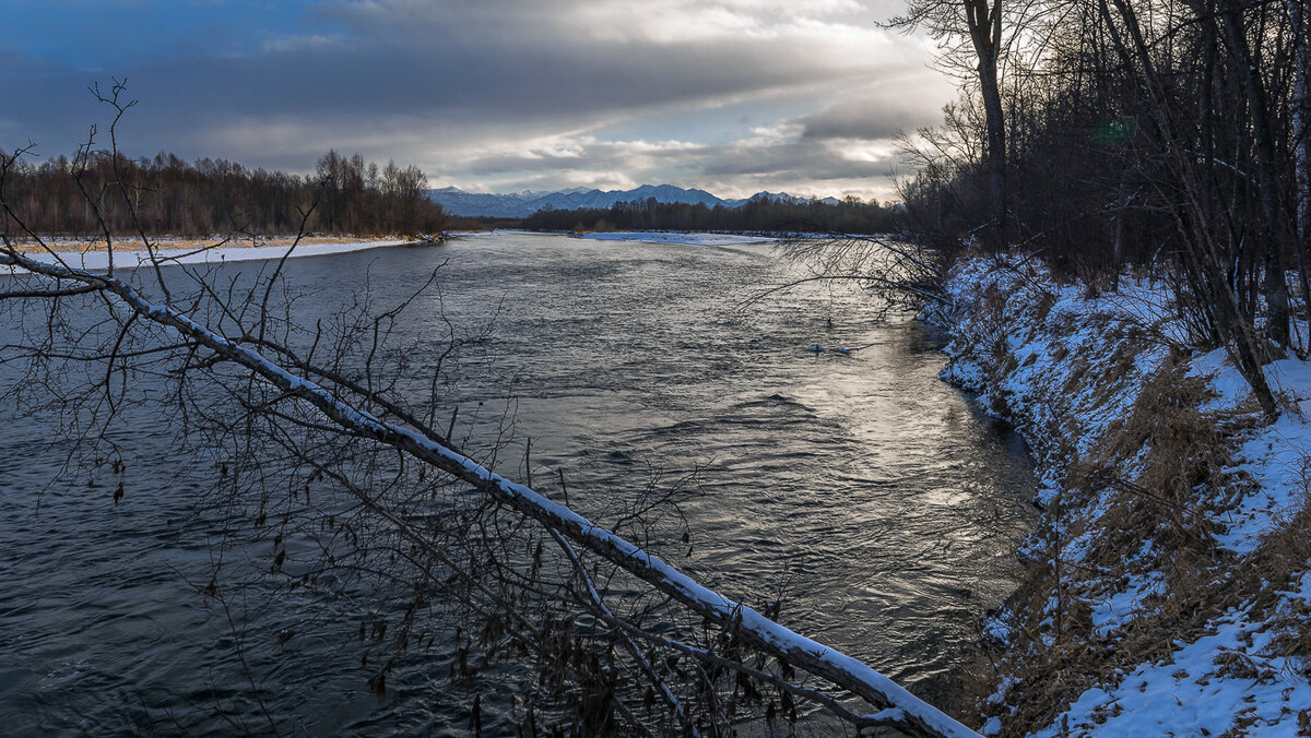 ... - Жора Житников