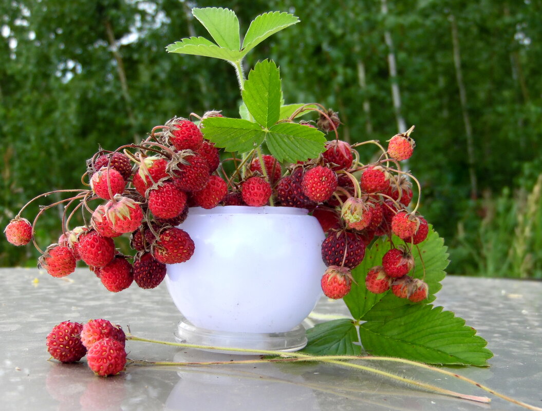 Букетик с ароматом лета. - nadyasilyuk Вознюк