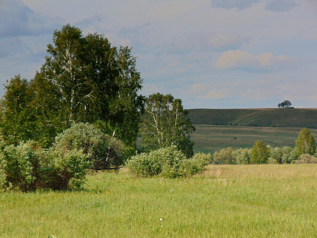 Однажды в месяце июне. - nadyasilyuk Вознюк