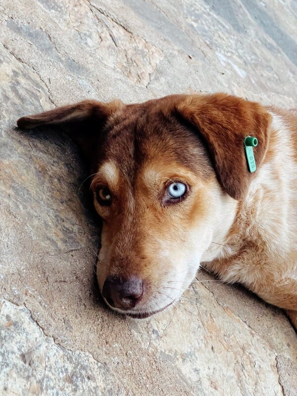 Взгляд... - Георгиевич 