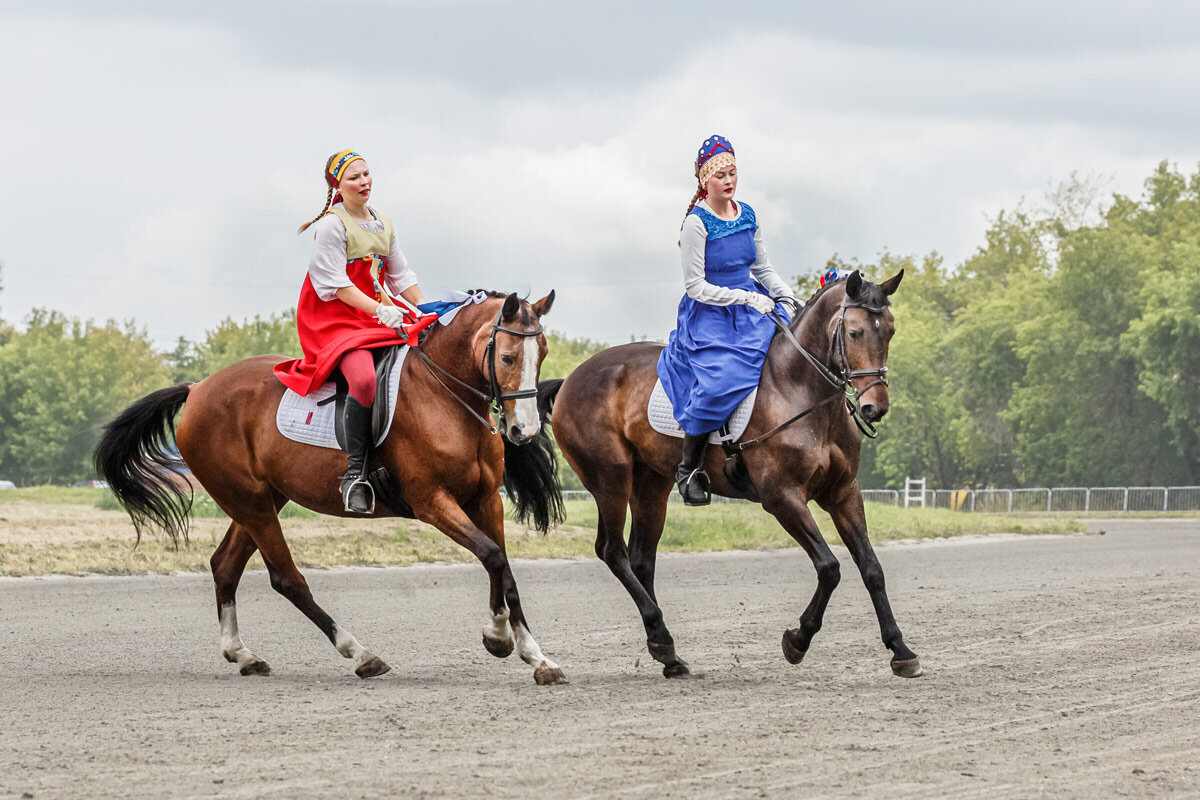 Выездка - SanSan 