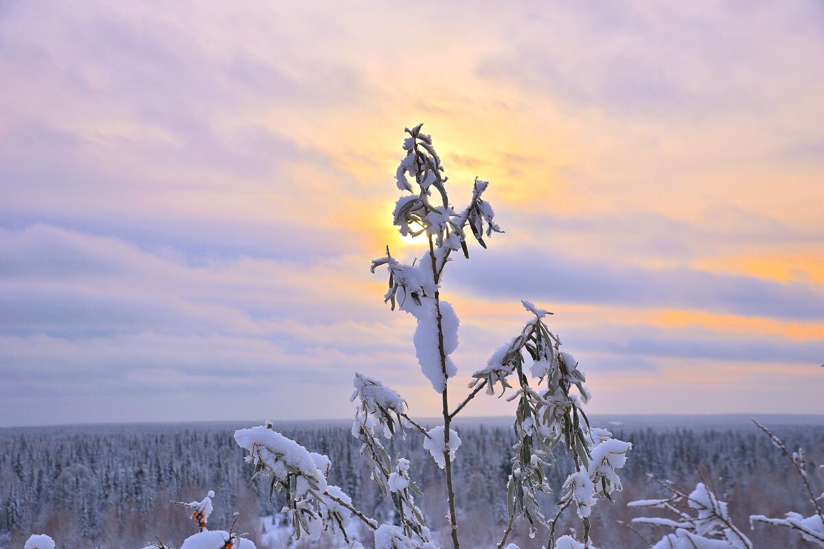 - - Владимир Мигонькин