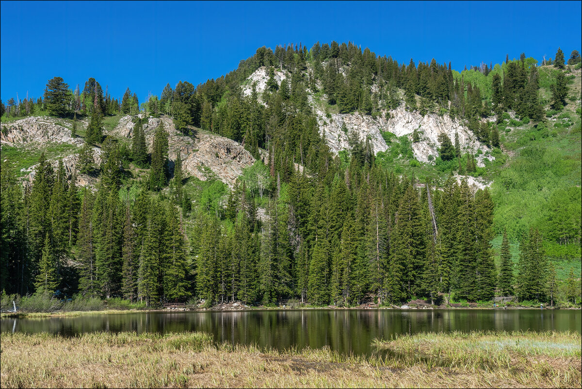 Серебряное озеро - **** vedin