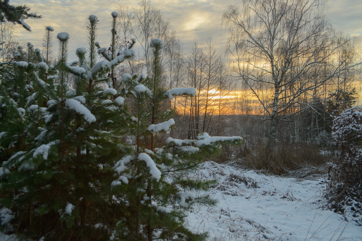 Начало дня. - Николай 