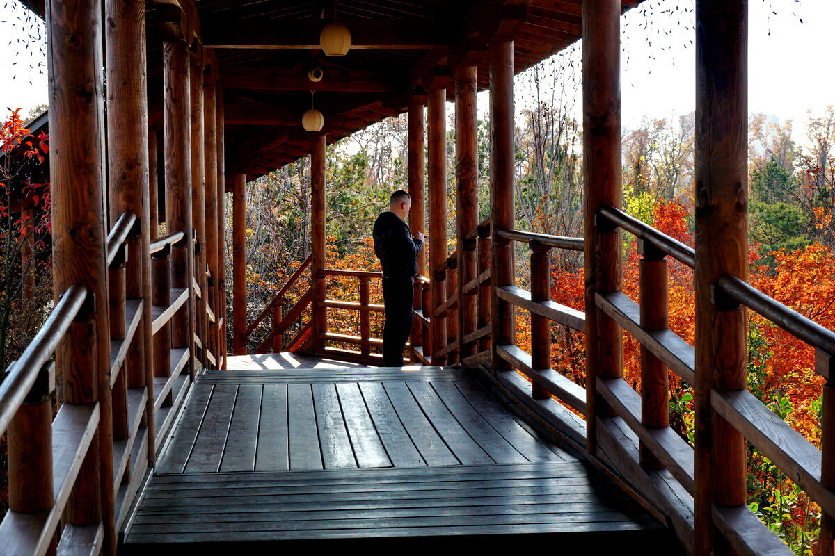 В Японском саду... Краснодар - Николай Саржанов В Японском саду... Краснодар - Николай Саржанов